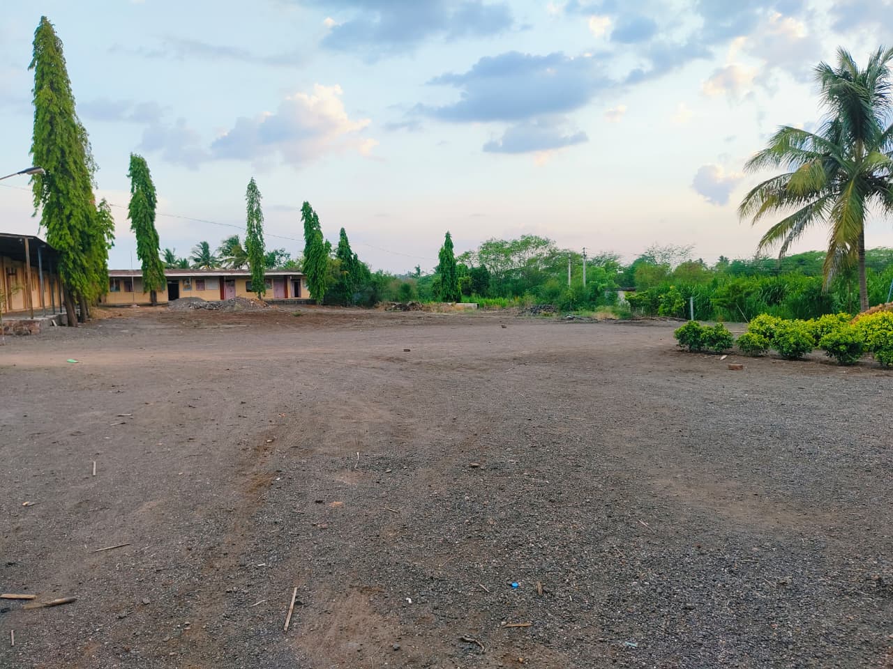 Open campus ground with trees and college building